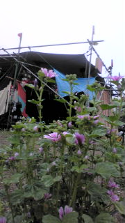 20100627104415.jpg