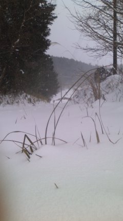 100113_1331~01.jpg