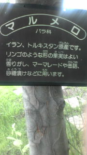 20100622130554.jpg